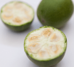 Luo Han Guo fruit
