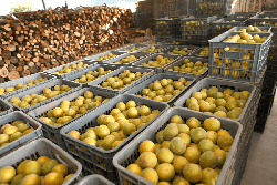 Extraction process